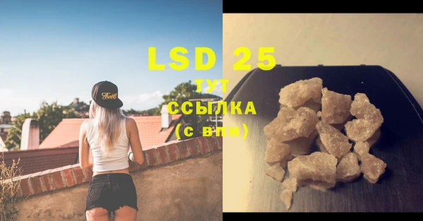 PSILOCYBIN Лагань