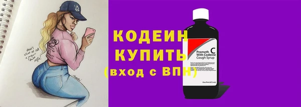 PSILOCYBIN Лагань