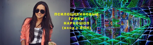 ПСИЛОЦИБИНОВЫЕ ГРИБЫ Кукмор