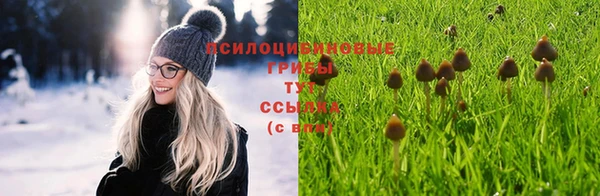 PSILOCYBIN Лагань